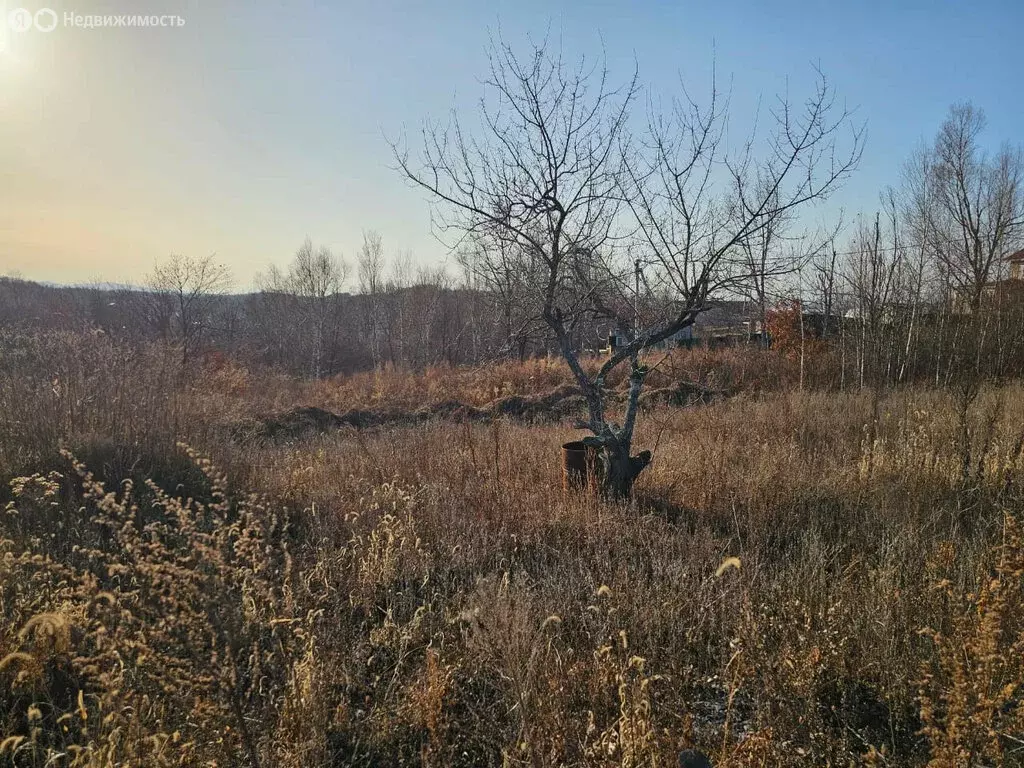 Участок в Артём, садовое некоммерческое товарищество Меркурий (10 м) - Фото 1
