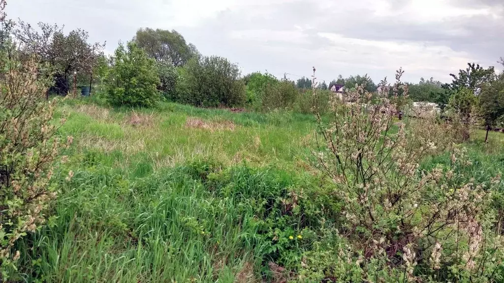 Участок в Новгородская область, Новгородский район, Трубичинское ... - Фото 0