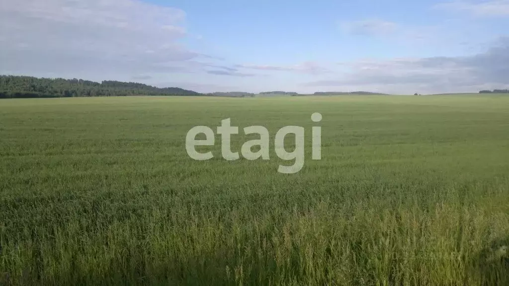 Участок в Красноярский край, Емельяновский муниципальный округ, ... - Фото 1