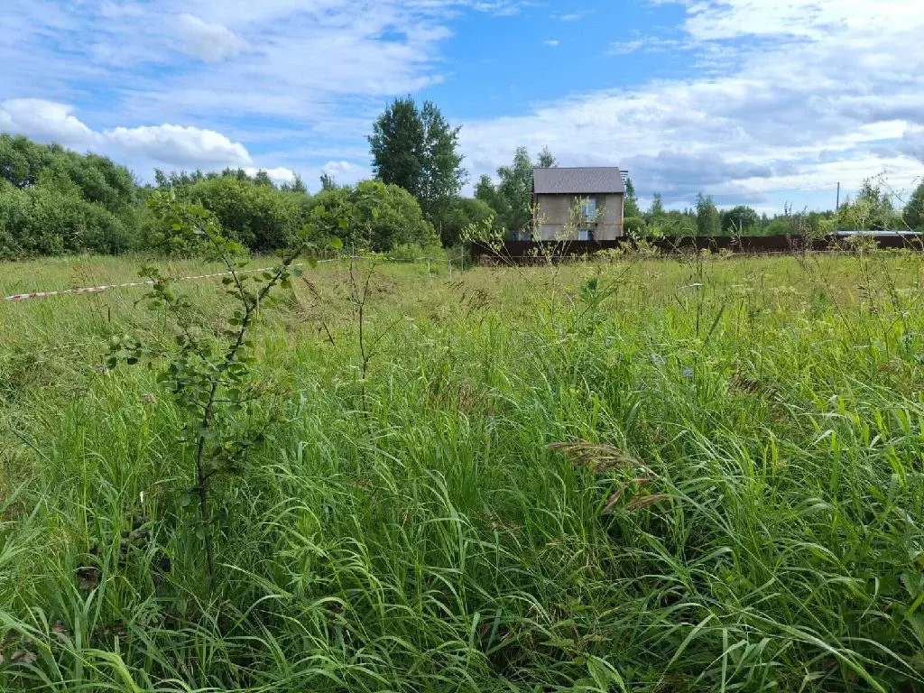 Продается участок в д. Никольское - Фото 2
