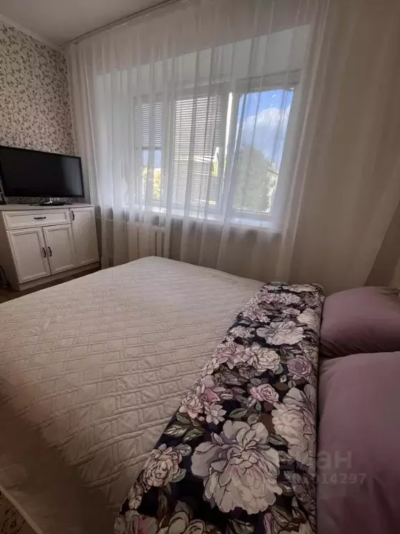 1-к кв. Калужская область, Обнинск ул. Мира, 17б (18.0 м) - Фото 1