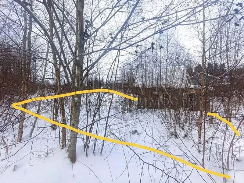 Участок в Ленинградская область, Выборгский район, Советское городское ... - Фото 2