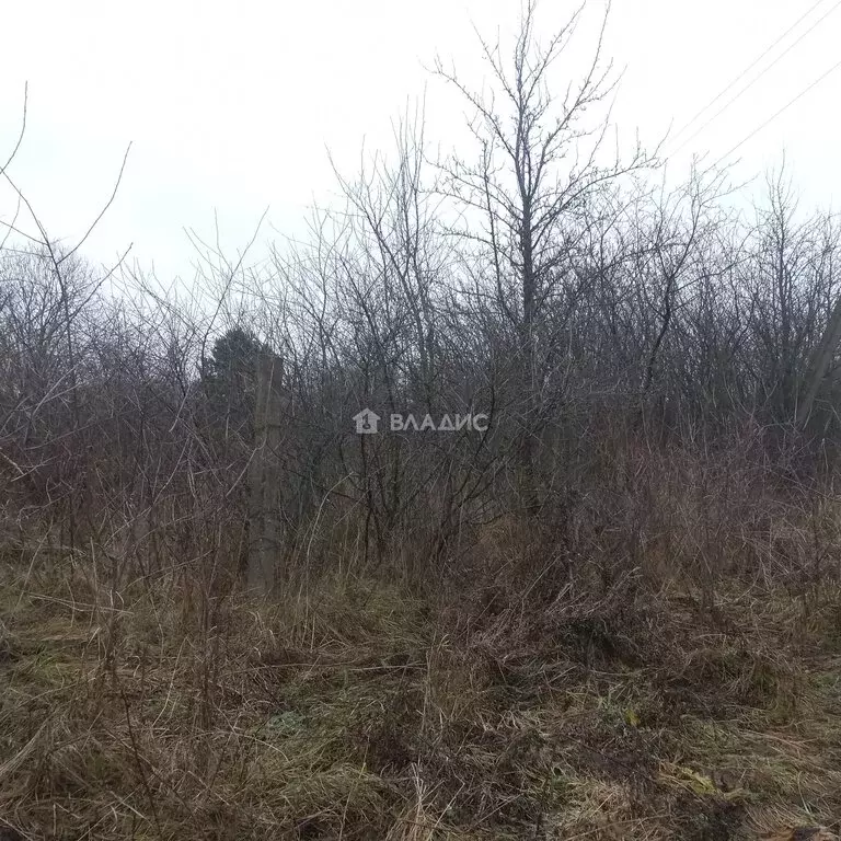 Участок в Владимирская область, Собинский муниципальный округ, деревня ... - Фото 2