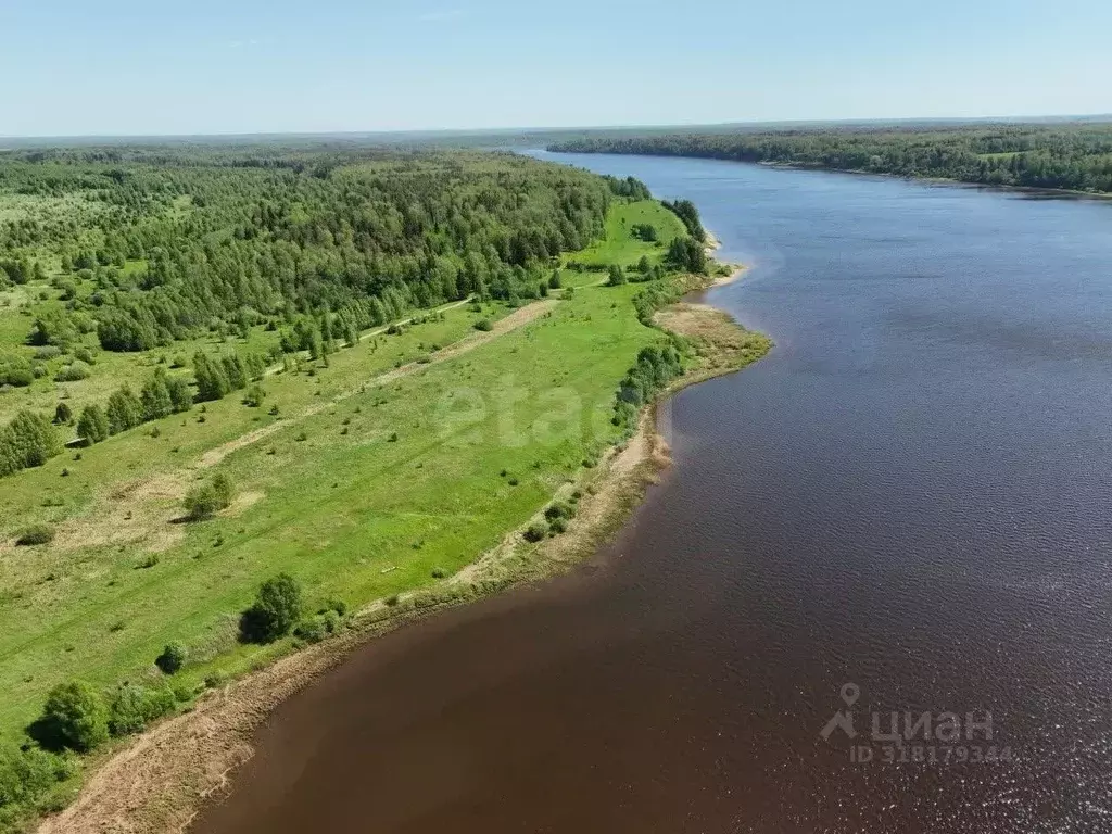 Участок в Ярославская область, Тутаевский муниципальный округ, ... - Фото 1