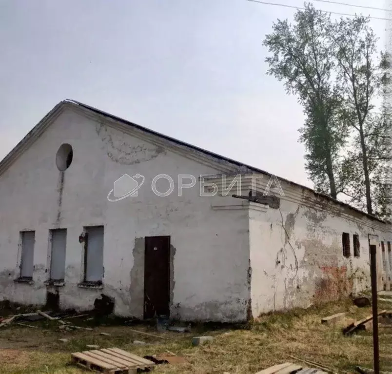 Торговая площадь в Тюменская область, Нижнетавдинский муниципальный ... - Фото 1