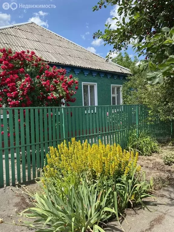 Дом в Сальск, улица Никитина (100 м) - Фото 2