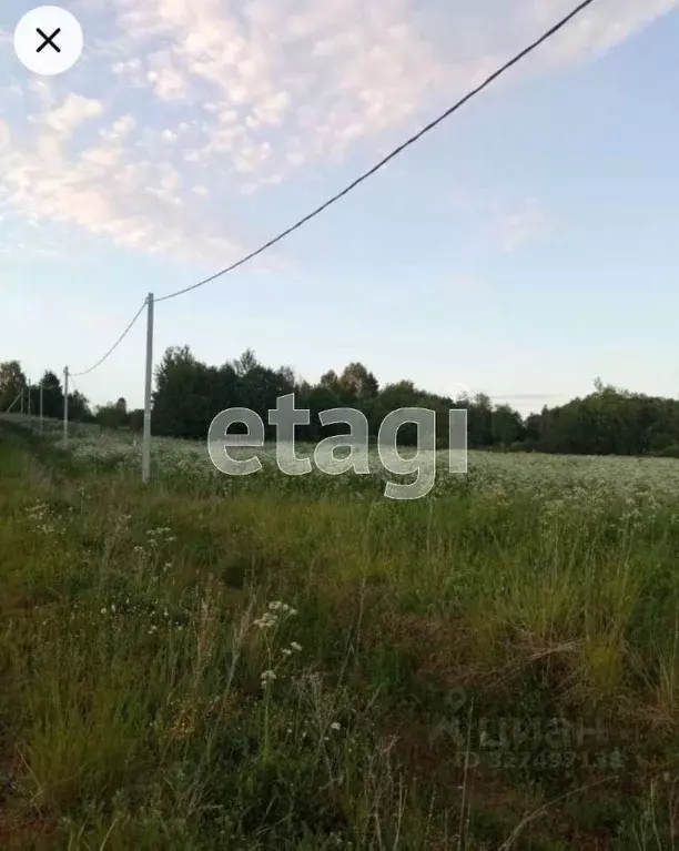 Участок в Вологодская область, д. Жуково (Старосельский сельсовет) ул. ... - Фото 1