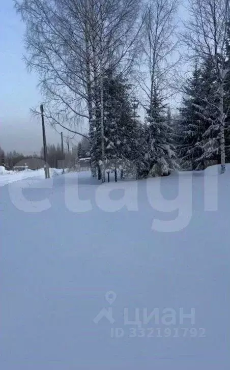 Участок в Пермский край, Пермский муниципальный округ, пос. Красный ... - Фото 1