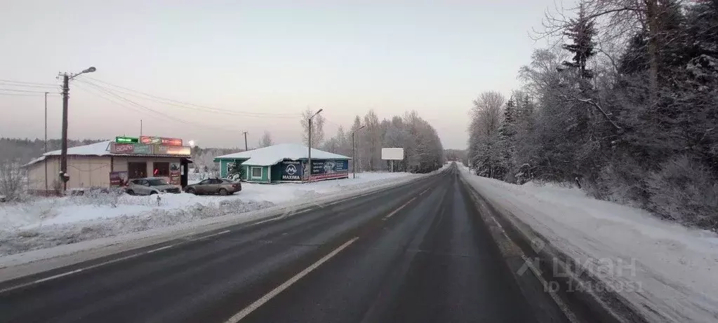 Участок в Ленинградская область, Выборг ш. Брусничное (147.0 сот.) - Фото 0