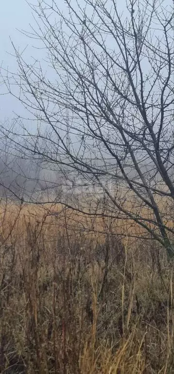 Участок 10 сот. (СНТ, ДНП) - Фото 0