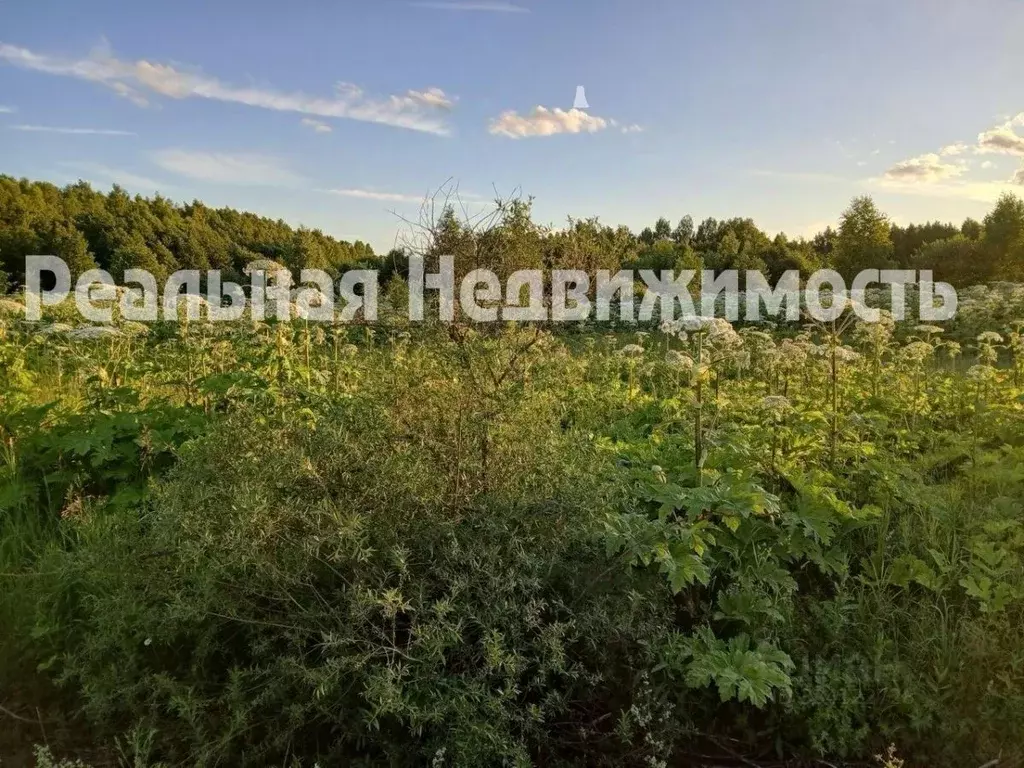 Участок в Московская область, Талдомский городской округ, д. Пенкино  ... - Фото 1