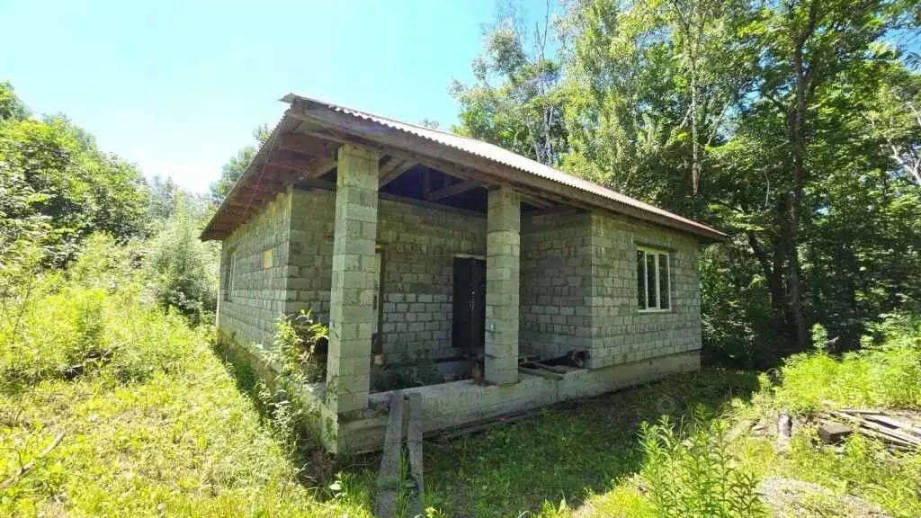 Дом в Хабаровский край, Хабаровский район, с. Сосновка Заречная ул., ... - Фото 0