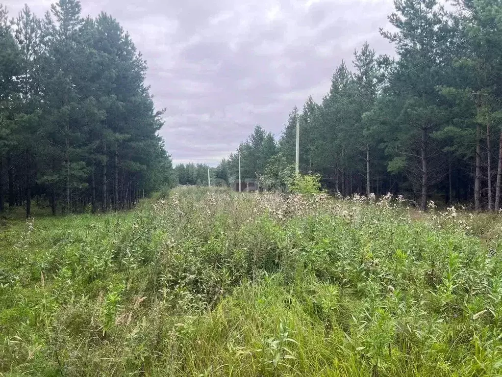 Участок в Курганская область, Кетовский муниципальный округ, Березки-1 ... - Фото 1