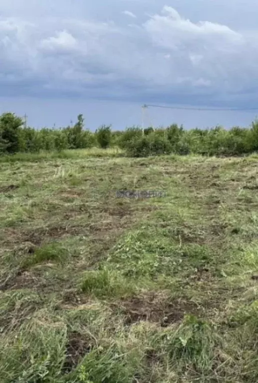 Участок в Нижегородская область, Нижний Новгород д. Ржавка, ул. ... - Фото 2