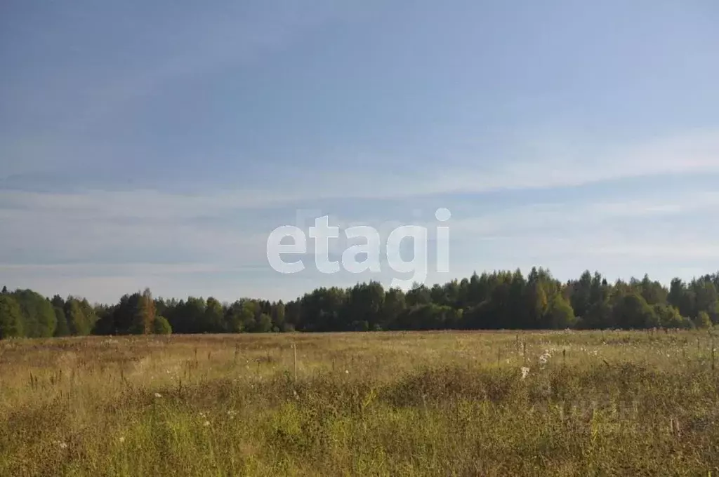 Участок в Вологодская область, Грязовецкий муниципальный округ, ... - Фото 2