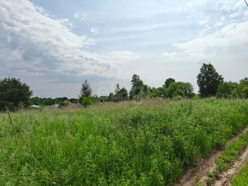 Участок в Амурская область, Благовещенский район, с. Волково ул. ... - Фото 1