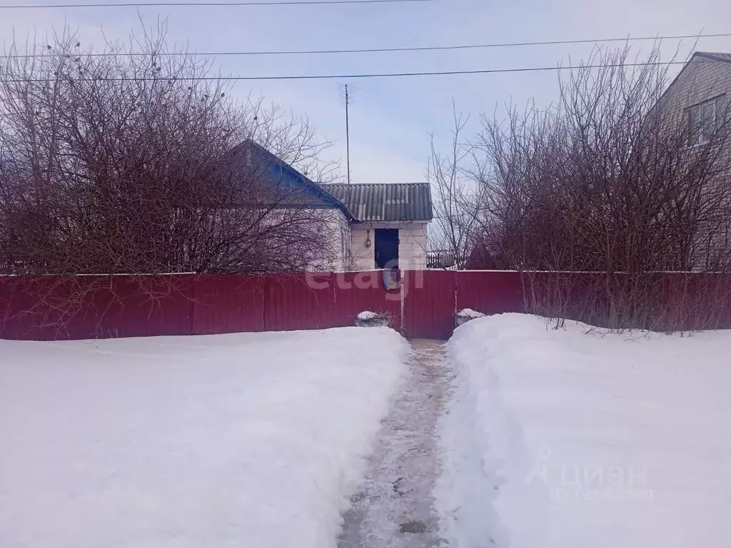 Дом в Воронежская область, с. Верхняя Хава ул. Механизаторов (43 м) - Фото 0