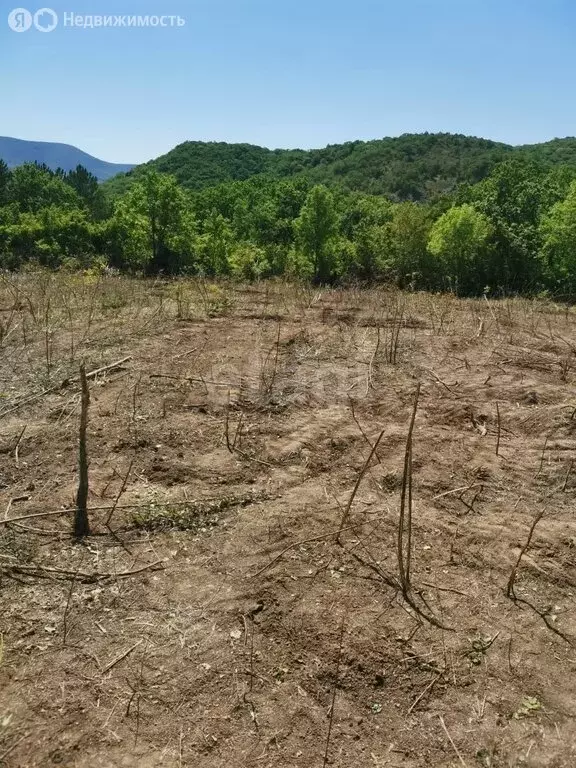 Участок в Краснодарский край, городской округ Новороссийск, село ... - Фото 1