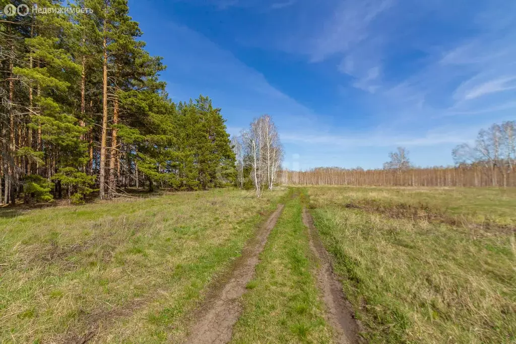 Участок в Омский район, дачный посёлок Чернолучинский (5 м) - Фото 0