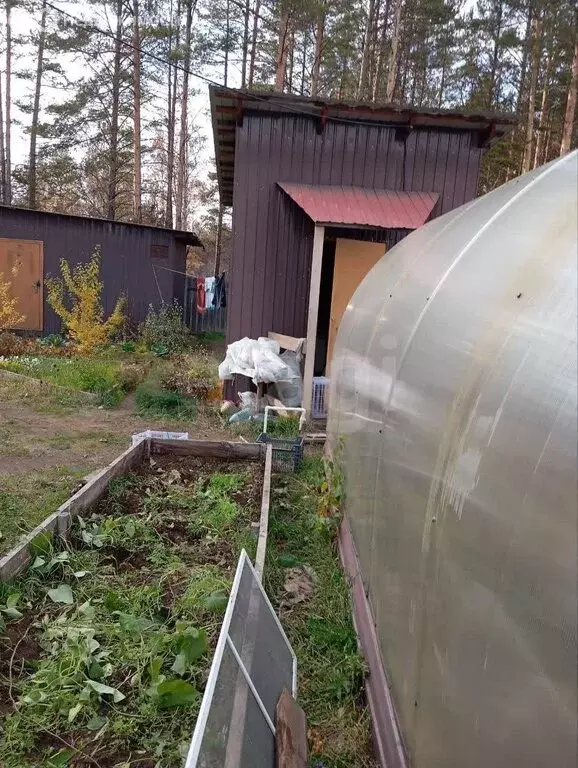 Дом в Читинский район, СНТ № 58 Озон, Берёзовая улица (30 м) - Фото 1