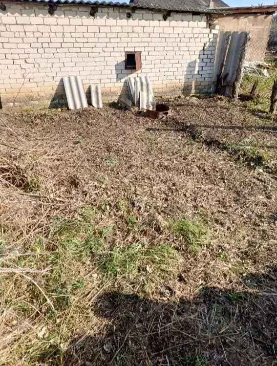 Участок в Саратовская область, с. Поповка ул. Молодежная, 26 (8.0 ... - Фото 1