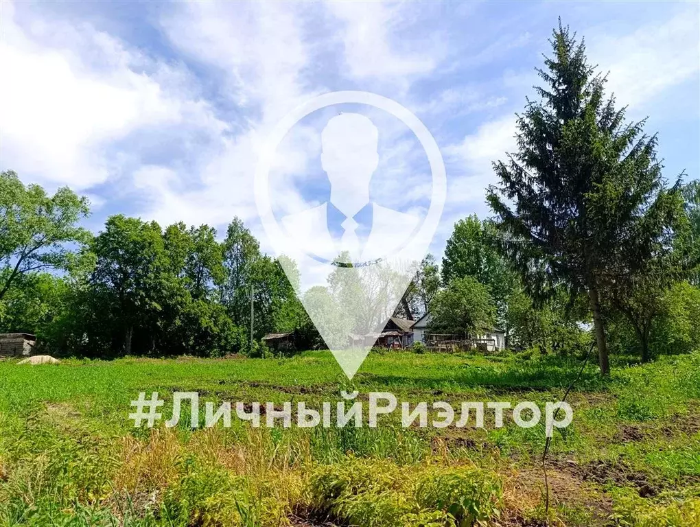 Участок в Рязанская область, Александро-Невский рп ул. Базарная, 1 ... - Фото 0