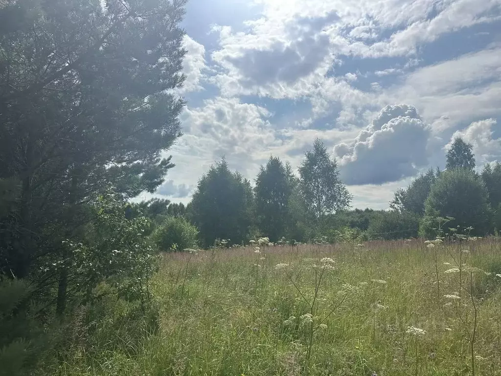 Участок в Московская область, Рузский муниципальный округ, пос. ... - Фото 1