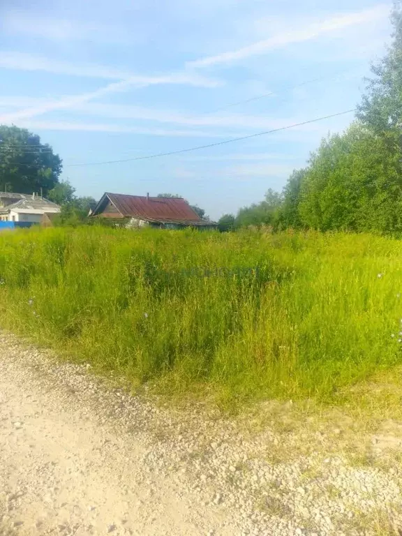 Участок в Нижегородская область, Дальнеконстантиновский муниципальный ... - Фото 2