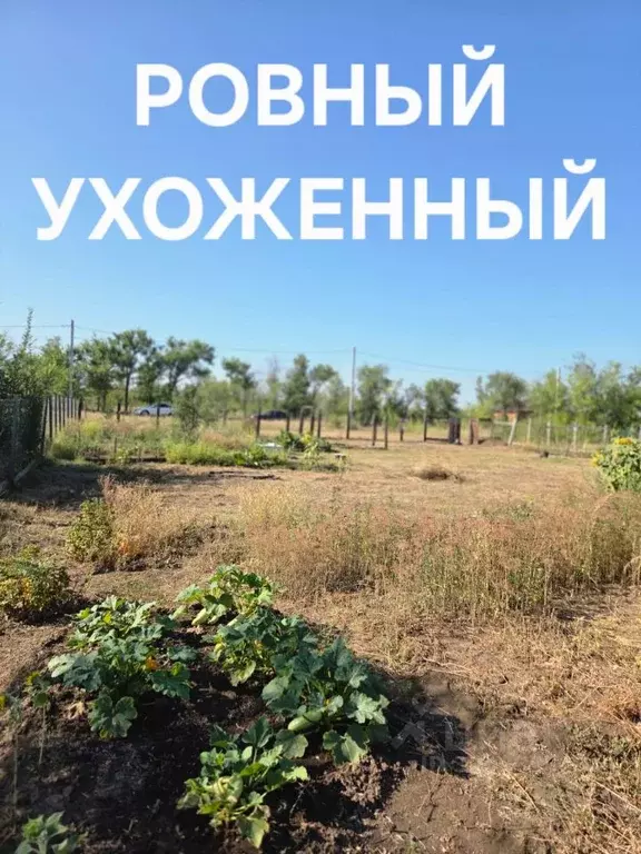 Участок в Саратовская область, Энгельсский район, Новопушкинское ... - Фото 0