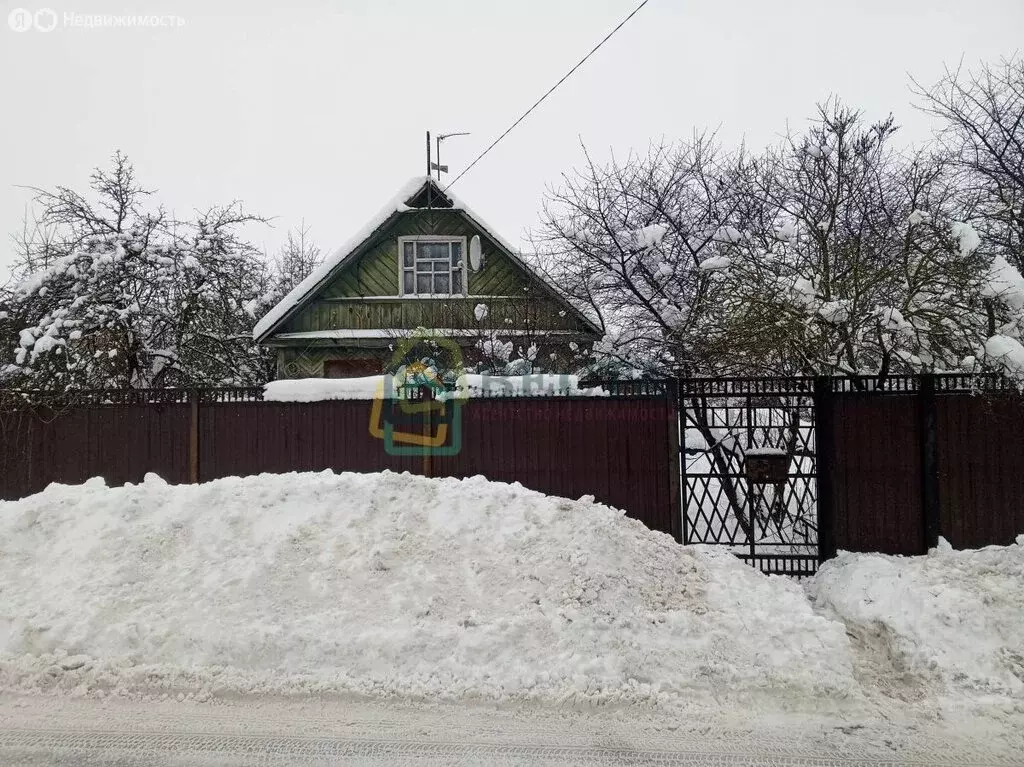 Участок в Красное Село, улица Голубко, 59 (5.45 м) - Фото 1