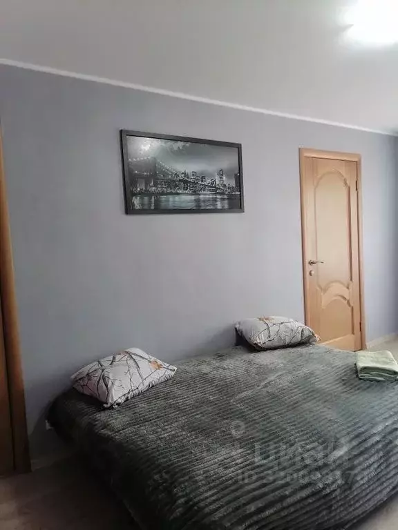 2-к кв. Челябинская область, Магнитогорск просп. Ленина, 4 (45.0 м) - Фото 1