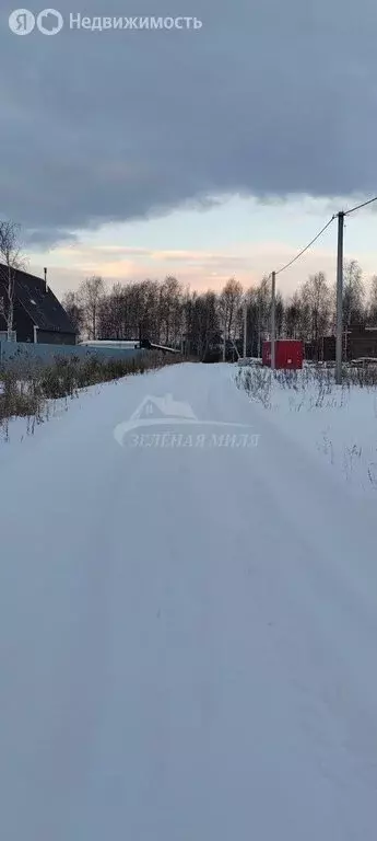 Участок в Тюмень, садовое товарищество Поле Чудес, Чудесная улица (10 ... - Фото 1