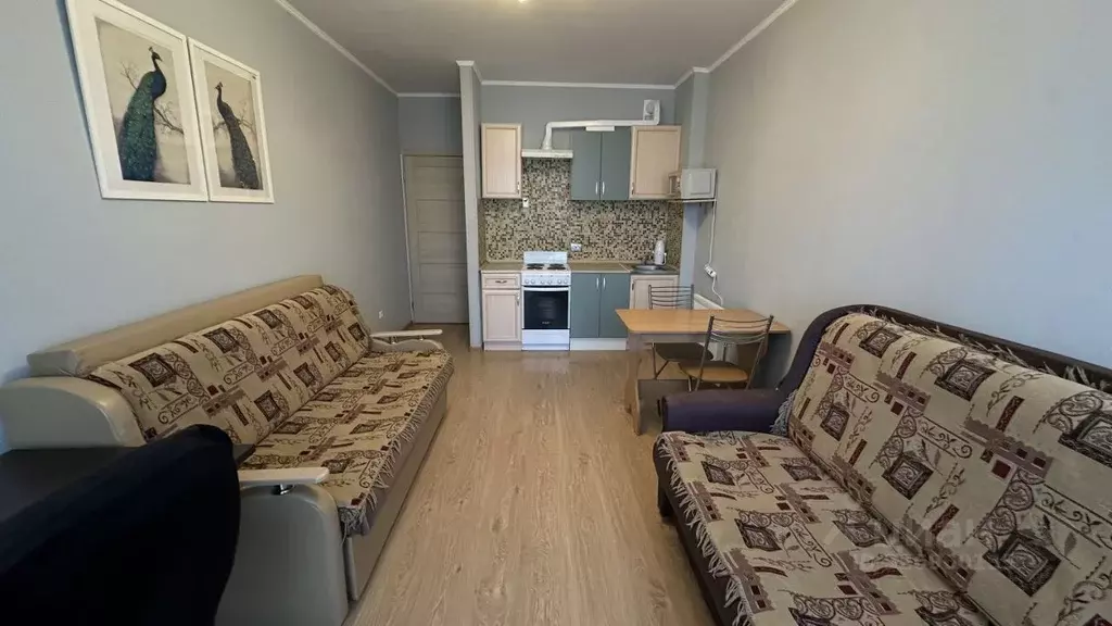 Студия Санкт-Петербург ул. Катерников, 7 (29.0 м) - Фото 2