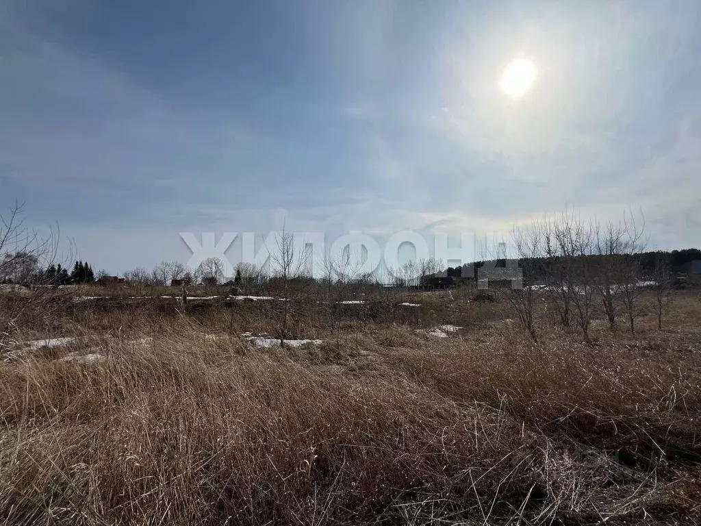 Участок в Новосибирская область, Новосибирский район, Боровской ... - Фото 2