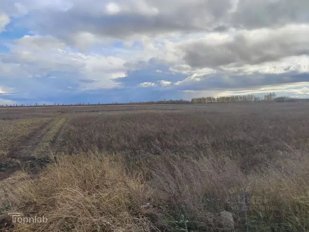 Участок в Тамбовская область, Тамбов ул. Имени Константина Малофеева, ... - Фото 1