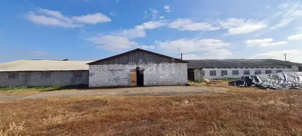 Помещение свободного назначения в Белгородская область, Чернянский ... - Фото 1