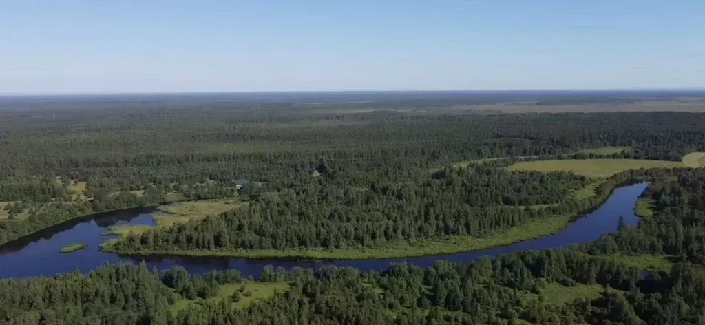 Участок в Ленинградская область, Лодейнопольский район, Доможировское ... - Фото 0