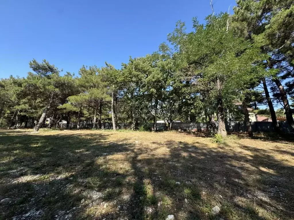 Участок в Краснодарский край, Геленджик  (8.57 сот.) - Фото 1