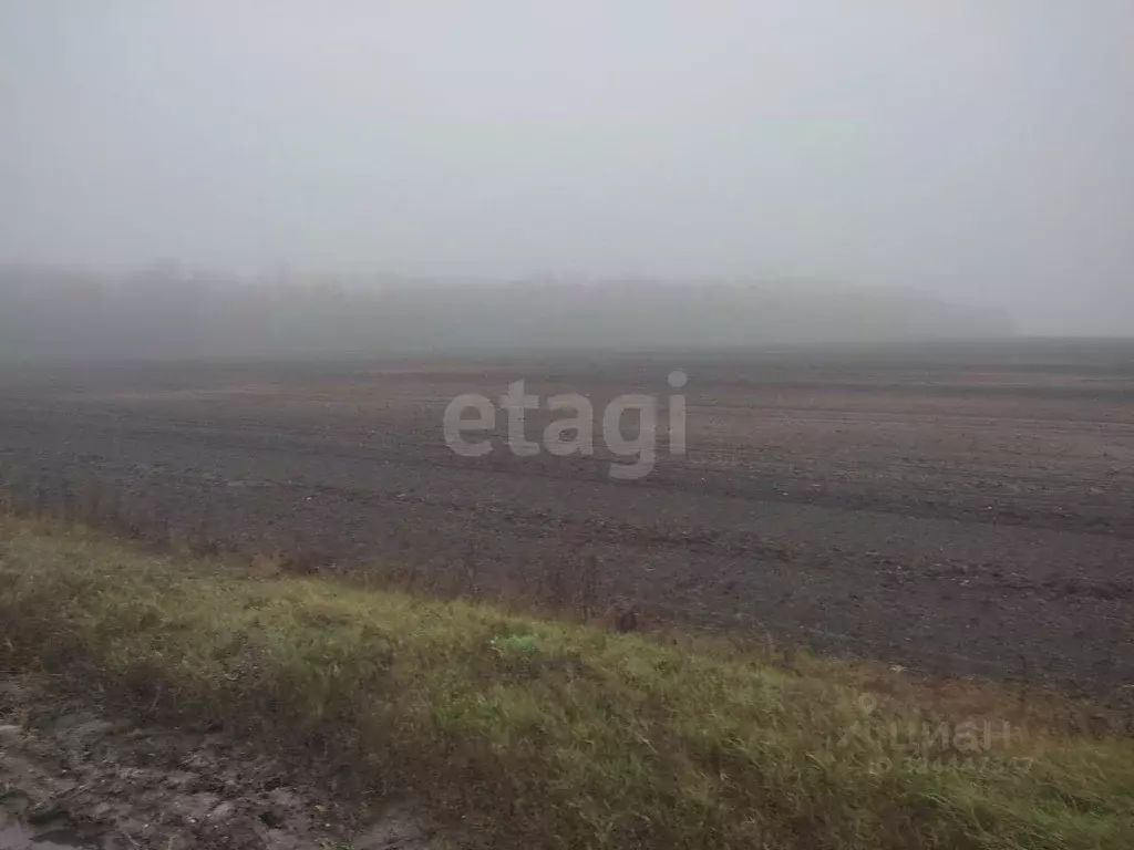 Участок в Белгородская область, Красногвардейский район, Ливенское ... - Фото 1