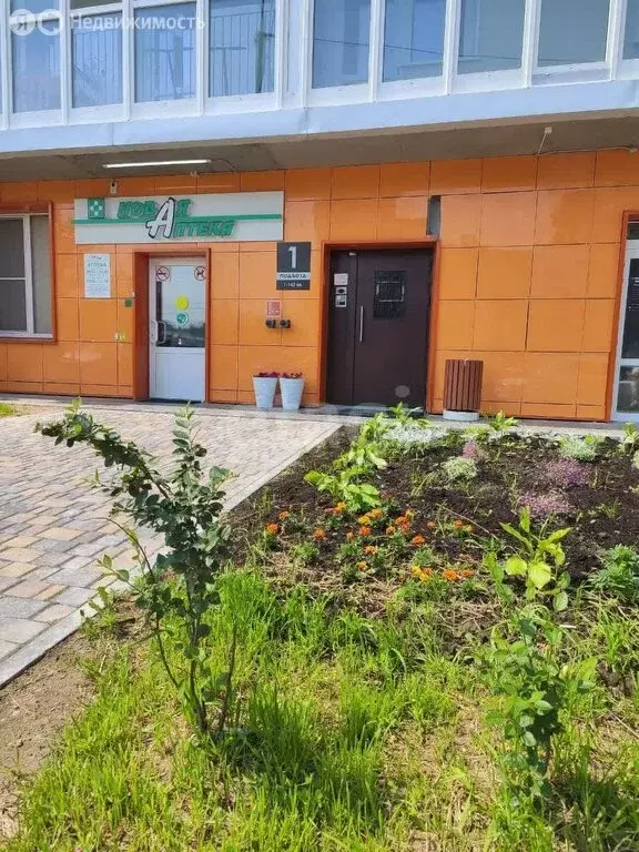1-комнатная квартира: Хабаровск, Краснореченская улица, 223 (41 м) - Фото 0