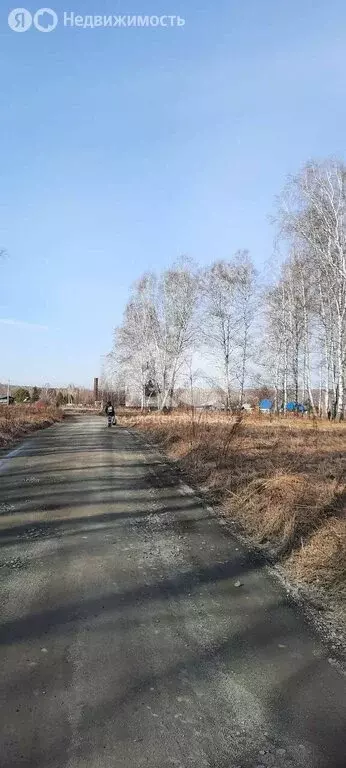 Участок в Мошковский район, НСТ Ромашка-1 (607 м) - Фото 2