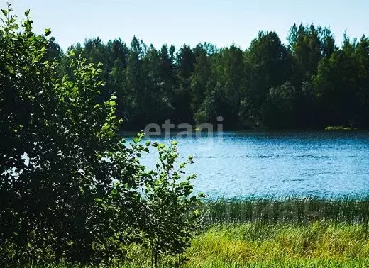 Участок в Ленинградская область, Всеволожский район, Куйвозовское ... - Фото 1