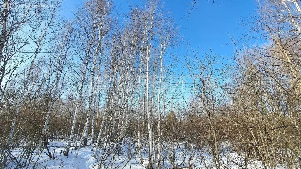 Участок в Тюменский район, СНТ Лесник-2 (13.7 м) - Фото 0