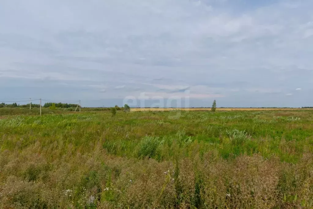 Участок в Тюменская область, Тюмень Ембаевское ТОО,  (6.27 сот.) - Фото 0