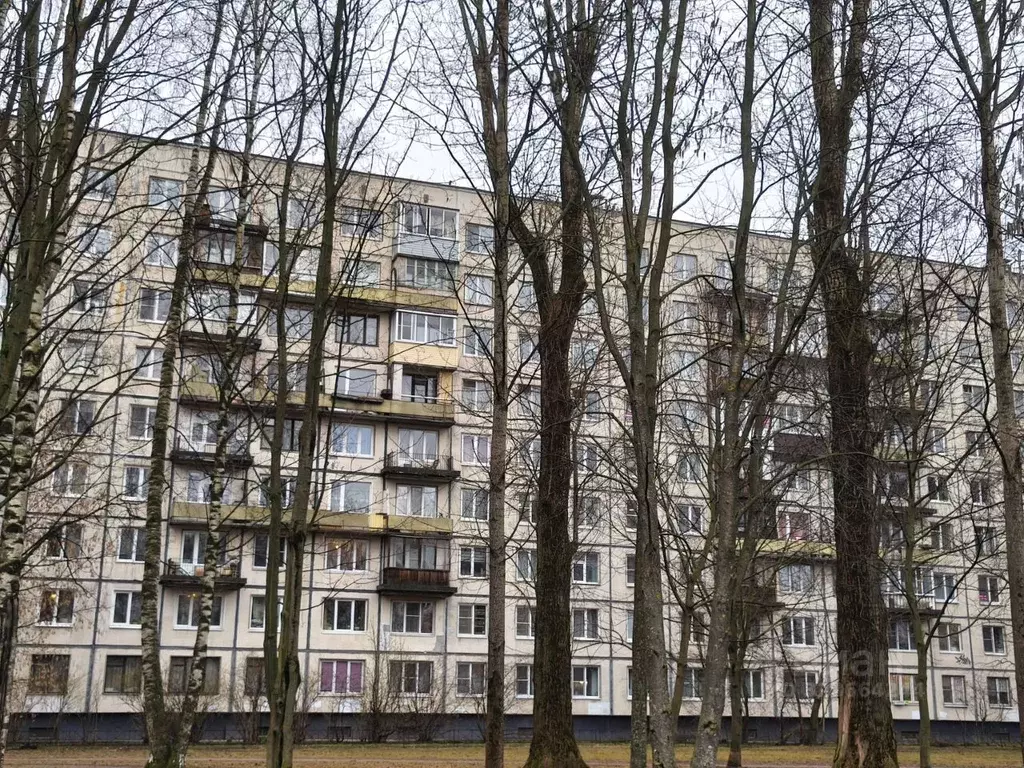 1-к кв. Санкт-Петербург Светлановский просп., 99К1 (31.0 м) - Фото 2