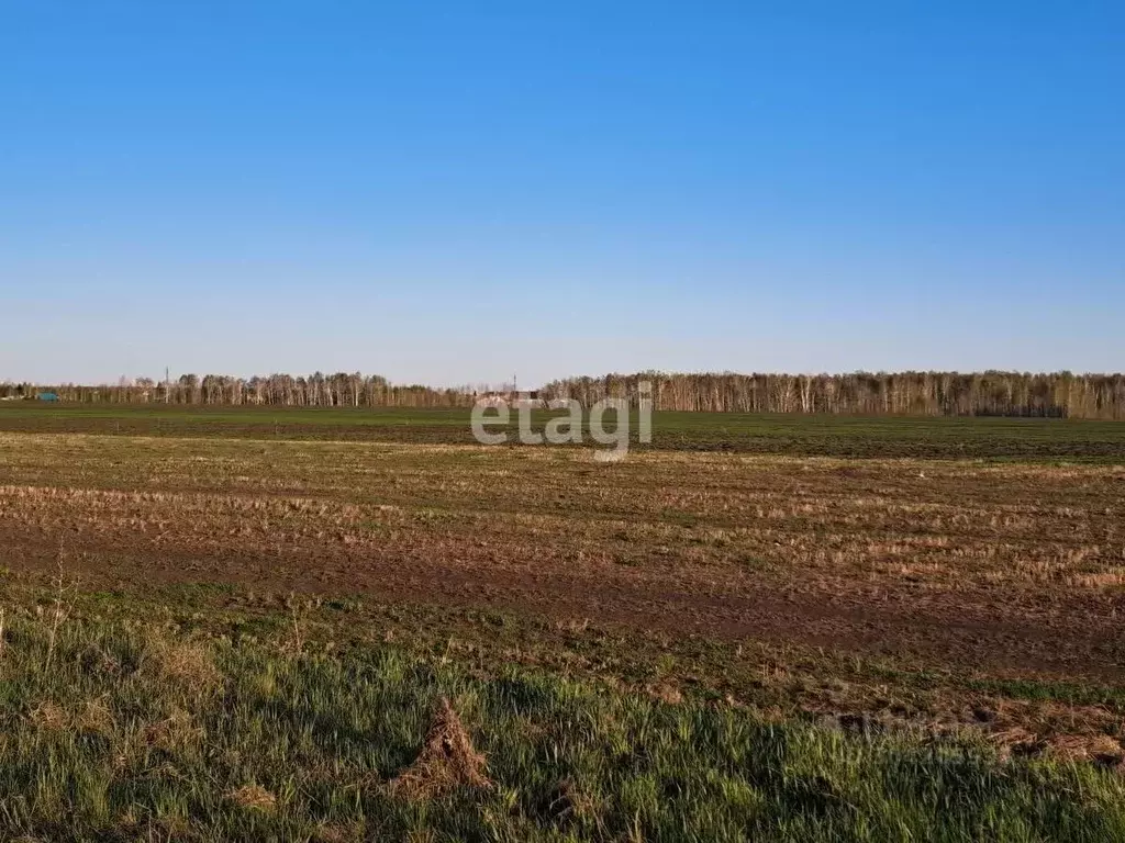 Участок в Тюменская область, Ишим Ворошиловка мкр,  (7.4 сот.) - Фото 1