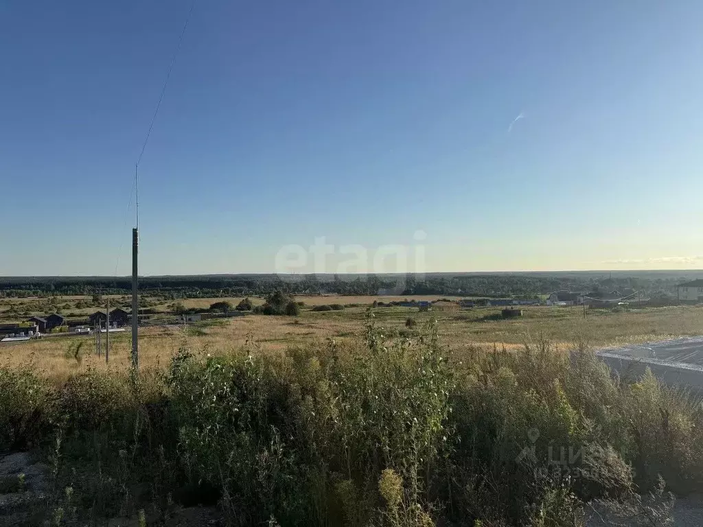 Участок в Ярославская область, Ярославский муниципальный округ, ... - Фото 1