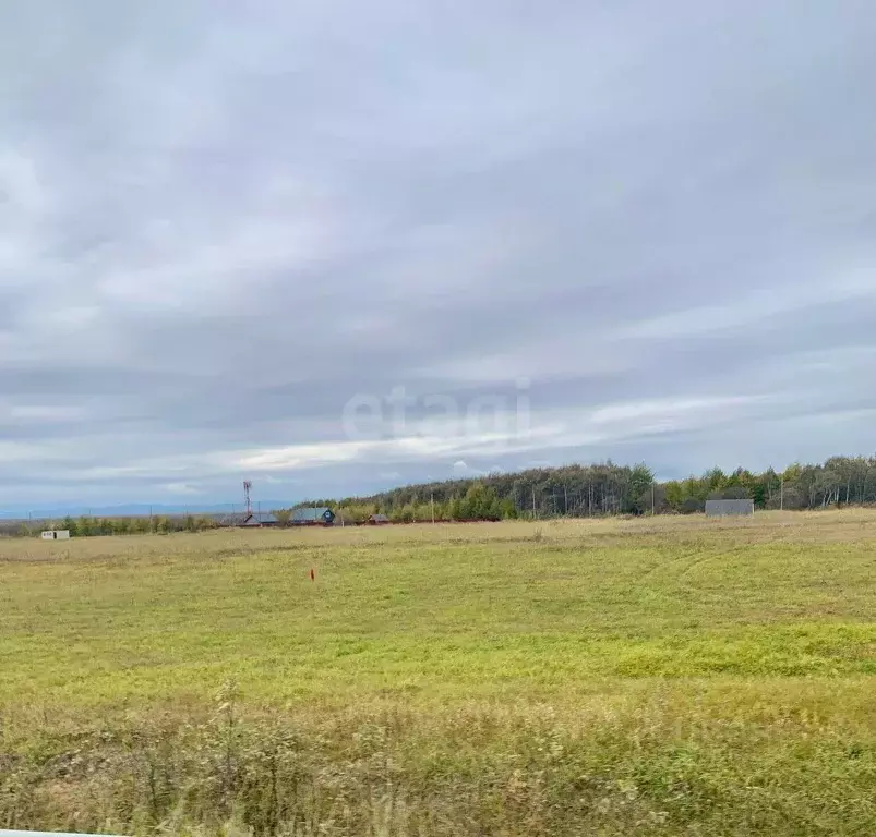 Участок в Сахалинская область, Анивский городской округ, с. Мицулевка  ... - Фото 1