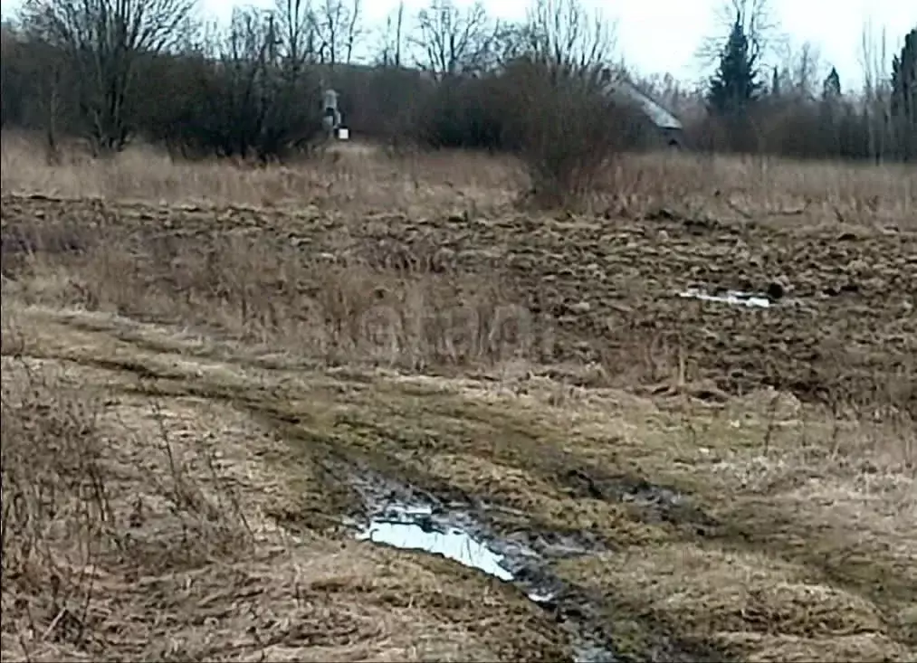 Участок в Ярославская область, Тутаевский муниципальный округ, ... - Фото 1