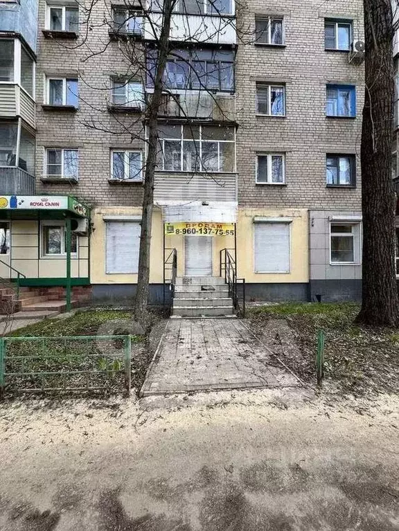 Торговая площадь в Воронежская область, Воронеж ул. Переверткина, 24 ... - Фото 1